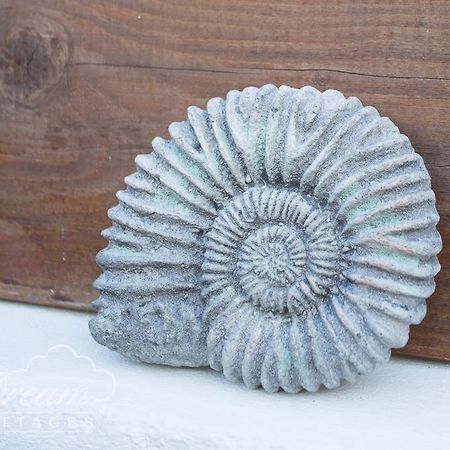 Ammonite Cottage, Portland Esterno foto